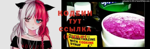 гашик Бронницы