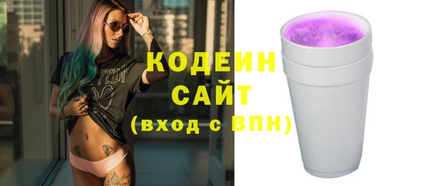 стафф Бородино