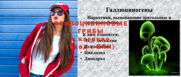 дмт Верея