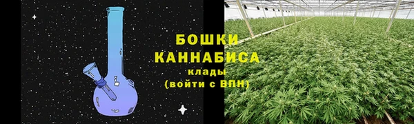 гашик Бронницы