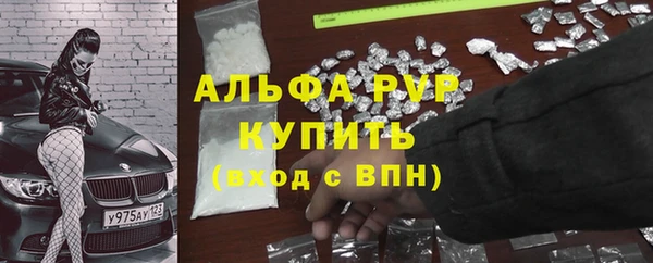 стафф Бородино