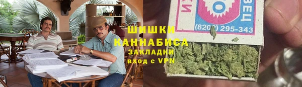 стафф Бородино